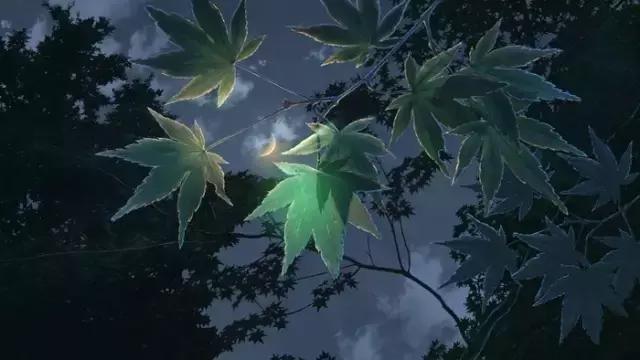 拥有同理心，才是根植于内心深处最高贵的修养