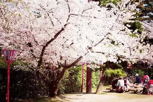 心理学上人性的26个弱点