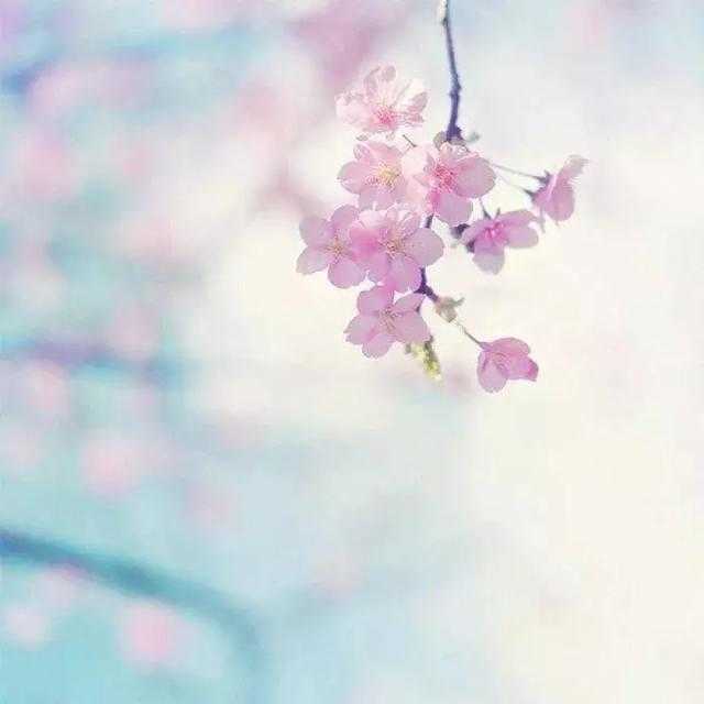 刘墉：每个人都有自己的隐藏情绪