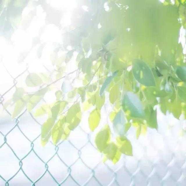 游戏规则也是人生的潜规则
