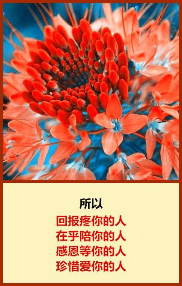有哲理的句子关于爱情