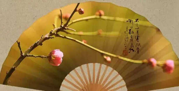 若不曾颠沛流离，哪知人间冷暖
