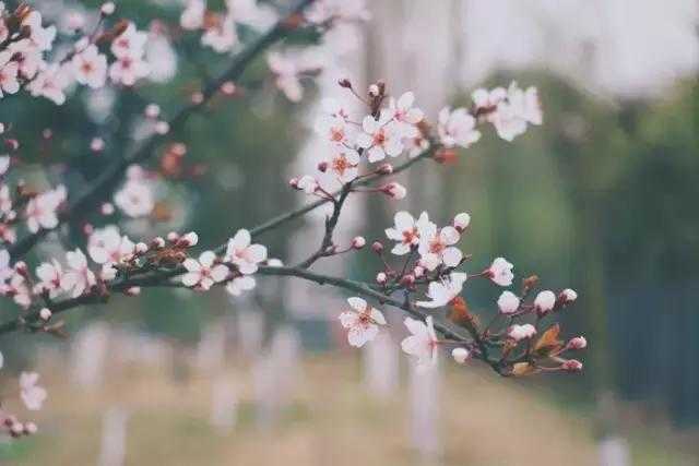做个善良的陌生人（深度好文）