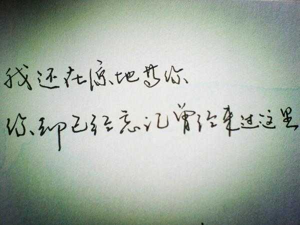 爱情里，那些读起来微微心疼的句子