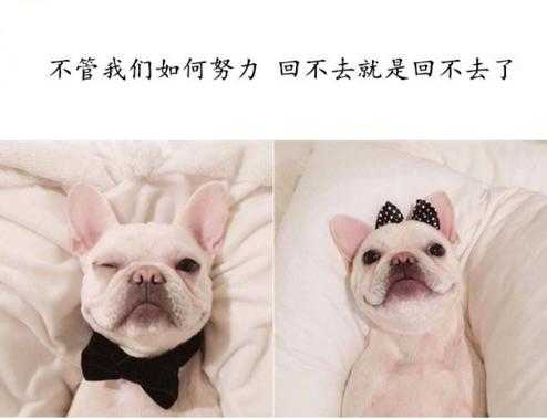 关于爱情，总有一句话适合现在的你，句句戳心！