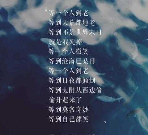 爱情20句，你不出现，我这辈子就不爱了