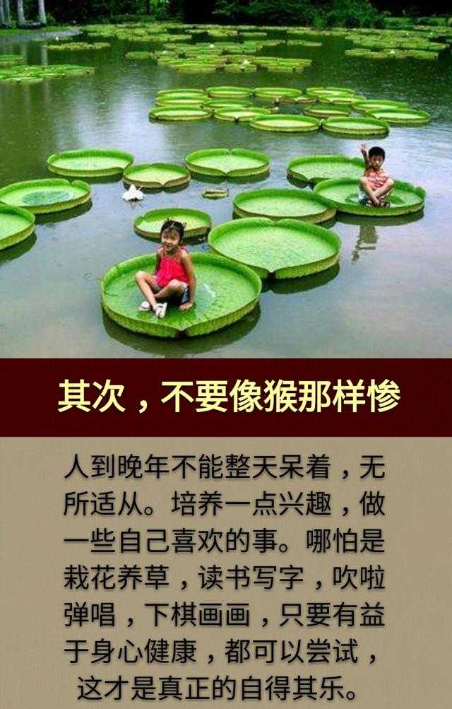 人生三做：一“做人”，二“做牛”，三“做猴”「写得真好」