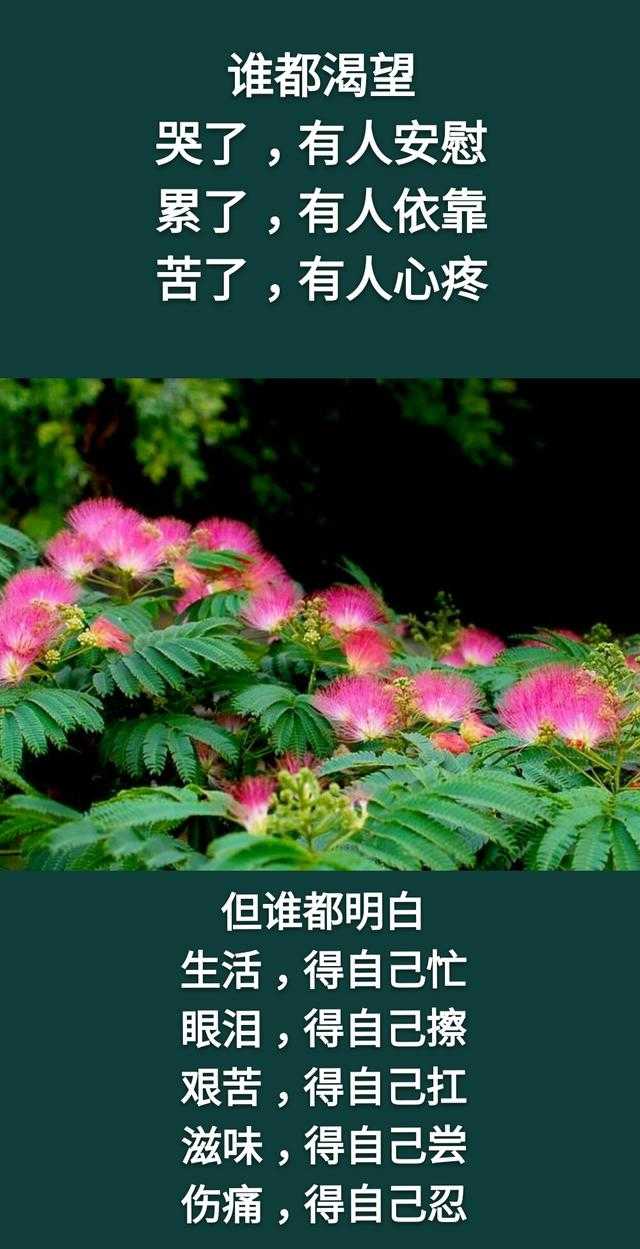 钱，没人给，靠自己挣才有底气；苦，没人慰，靠自己尝才能体会