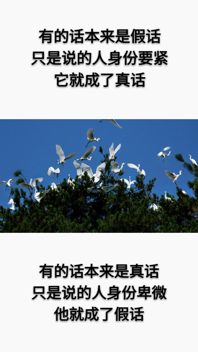 真话，不信；假话，当真！这就是人性「现实」