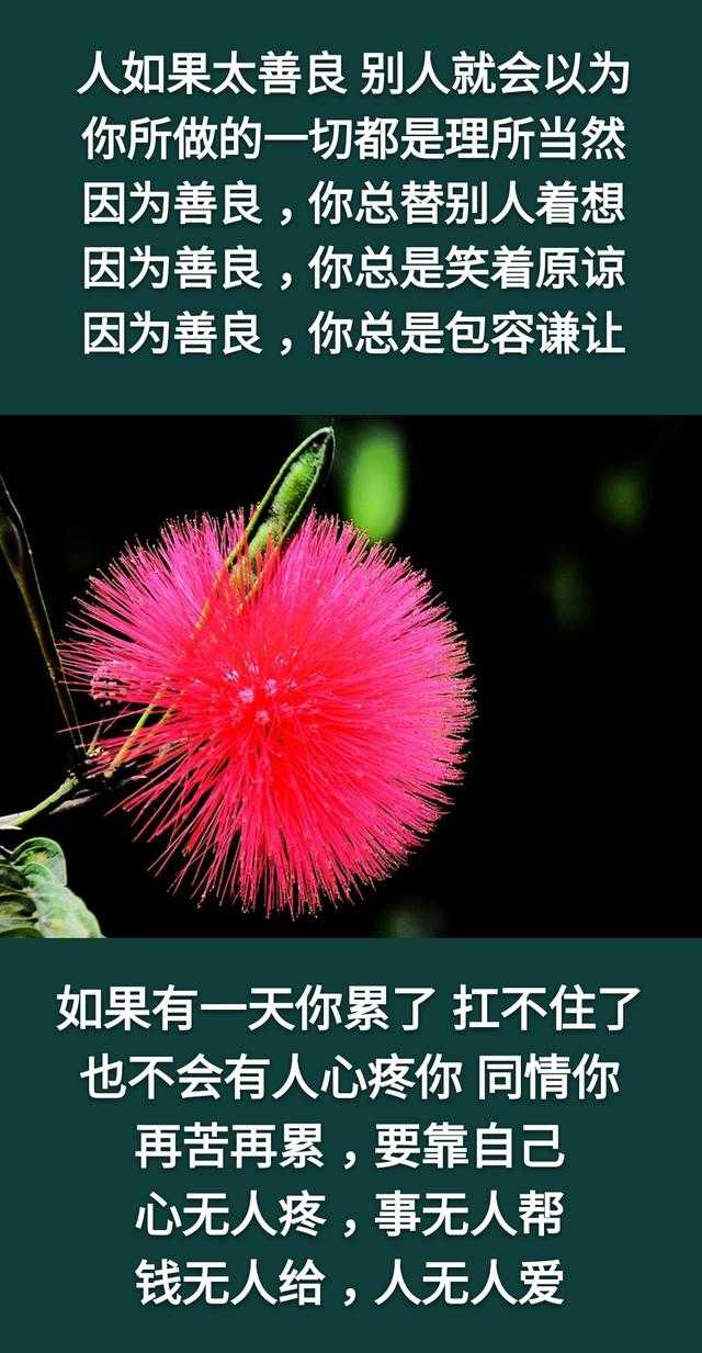 钱，没人给，靠自己挣才有底气；苦，没人慰，靠自己尝才能体会