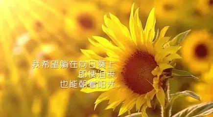 你的圈子决定你的未来！（好文）