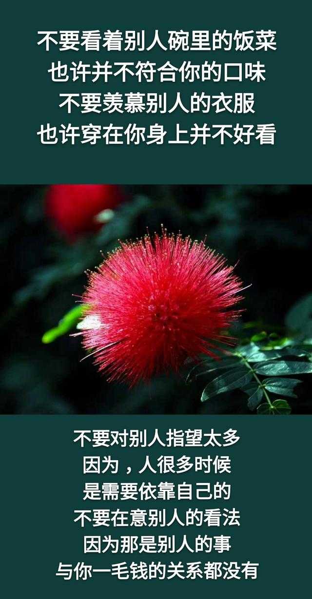 钱，没人给，靠自己挣才有底气；苦，没人慰，靠自己尝才能体会