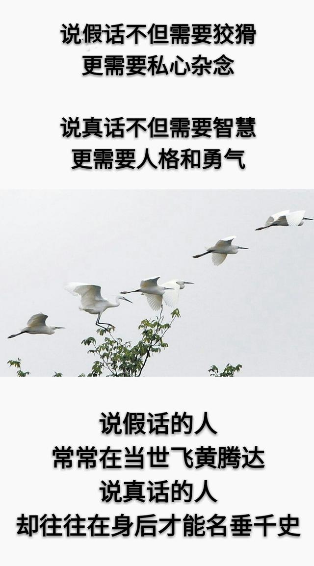 真话，不信；假话，当真！这就是人性「现实」