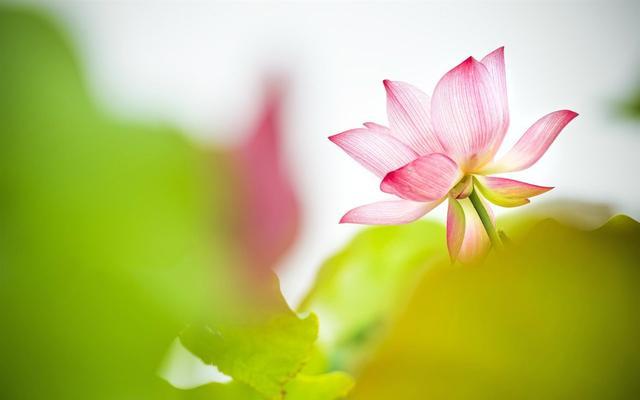 人一生，守住良心，守住善良