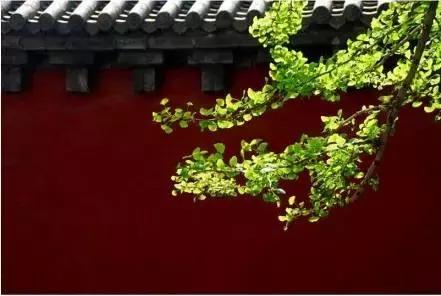 子若强于我，要钱做什么？子若不如我，留钱做什么！