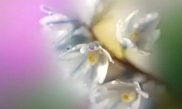 做人，别太老实