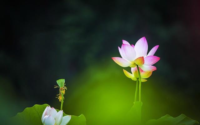 人一生，守住良心，守住善良