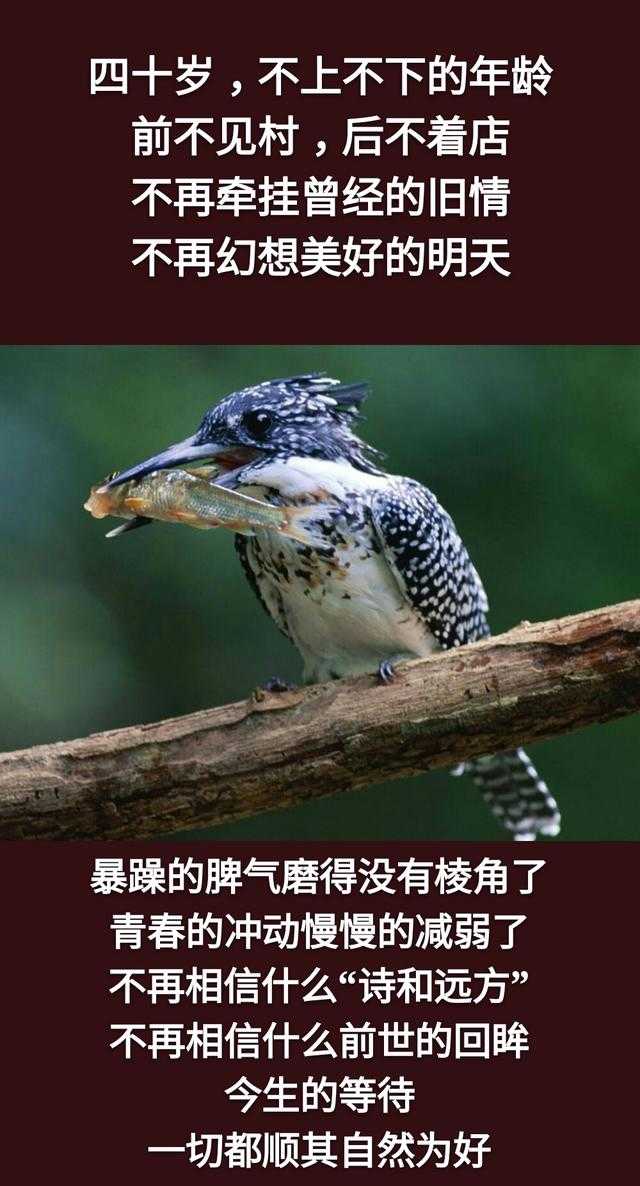 四十岁，人生不上不下的年龄，前不见村后不着店，只有中年人最懂