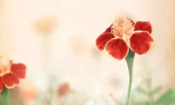 回忆里的人，只能念，不能见