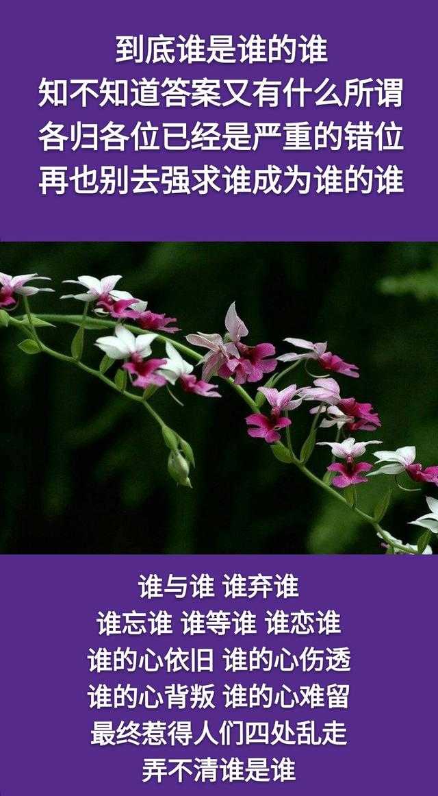 你是谁的谁，我是谁的谁；谁是谁的谁，谁都不是谁的谁「经典」