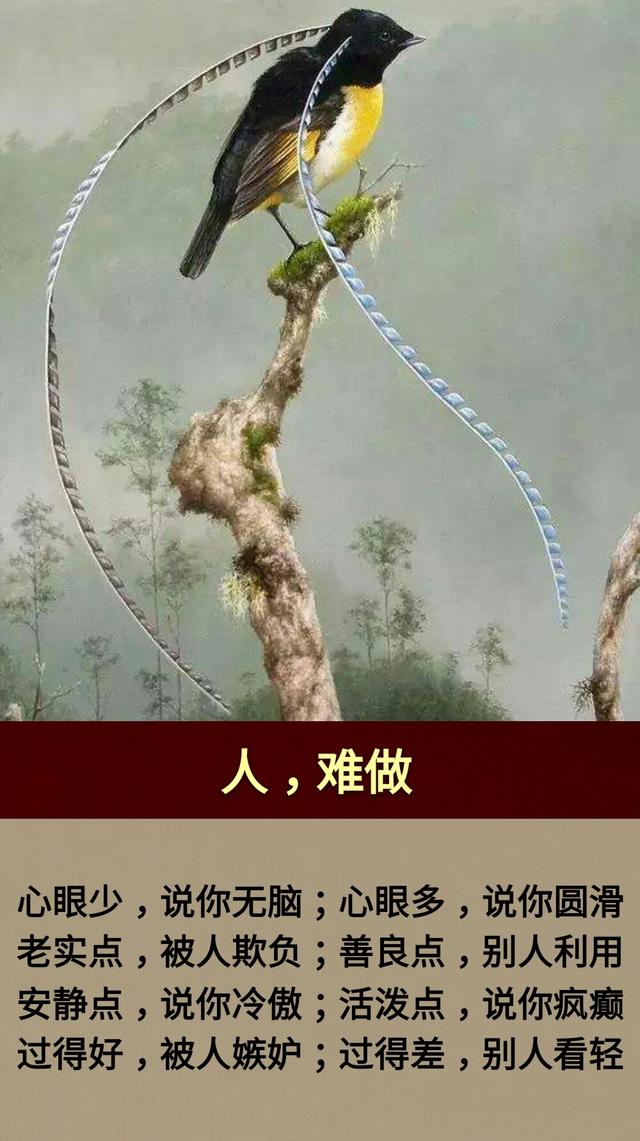 钱，难赚；情，难断；话，难辨；心，难懂；人，难做；命，难求！