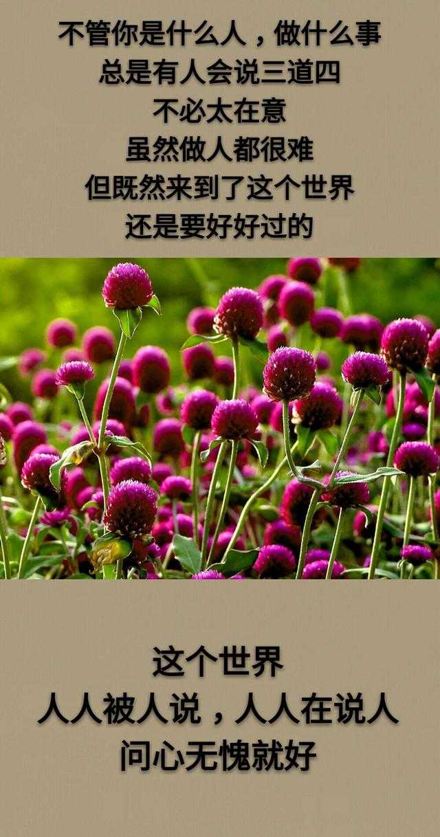 这年头：你难、我难、他难、老人难，有谁不难的呢？「句句入心」