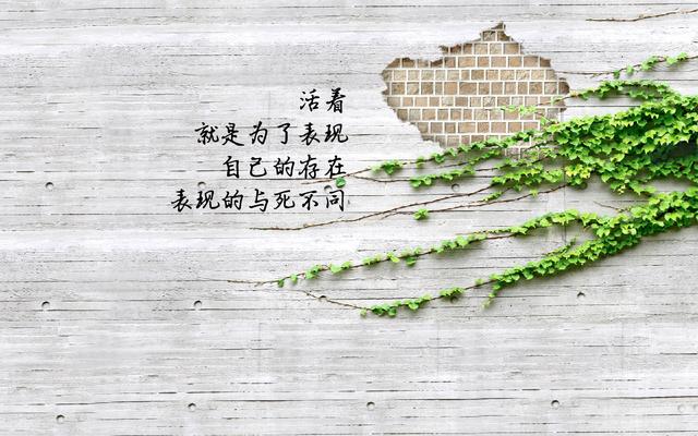 因为活着，所以要珍惜