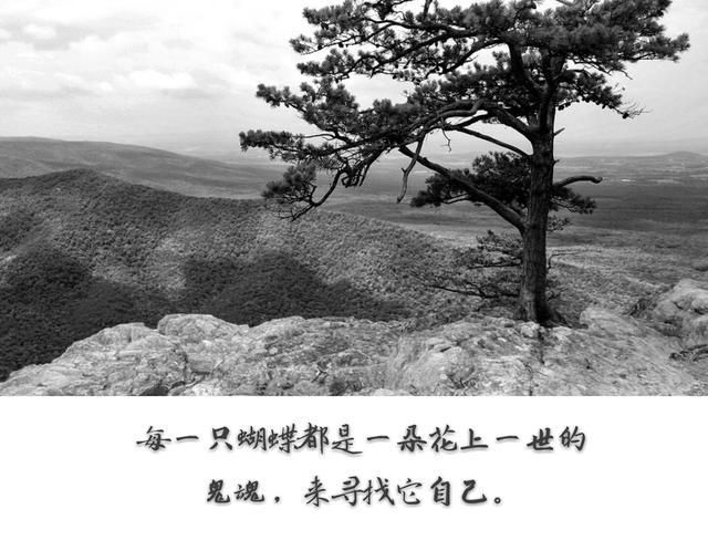 一辈子，随心，随性，随缘