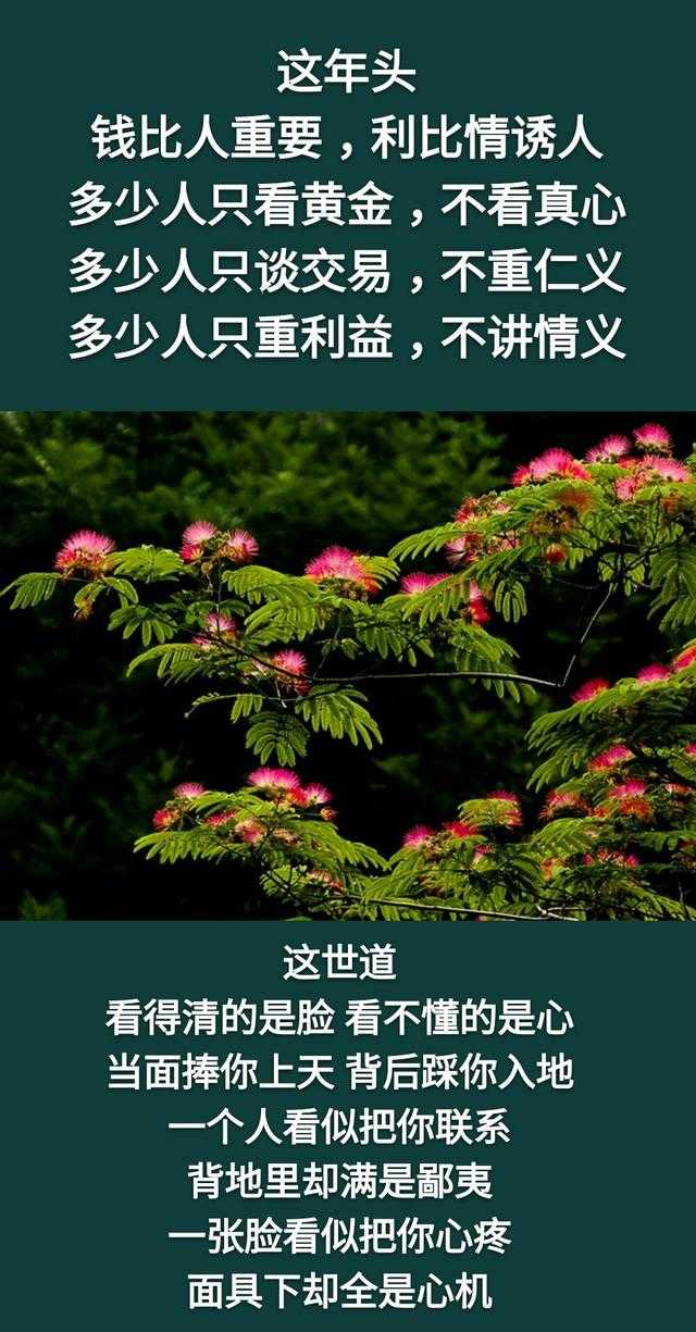 钱，没人给，靠自己挣才有底气；苦，没人慰，靠自己尝才能体会