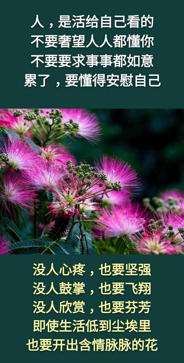 钱，没人给，靠自己挣才有底气