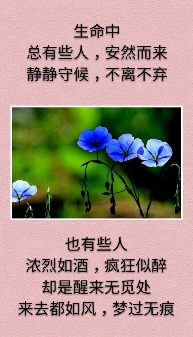 有些人，安然而来，不离不弃；有些人，疯狂似醉，梦过无痕