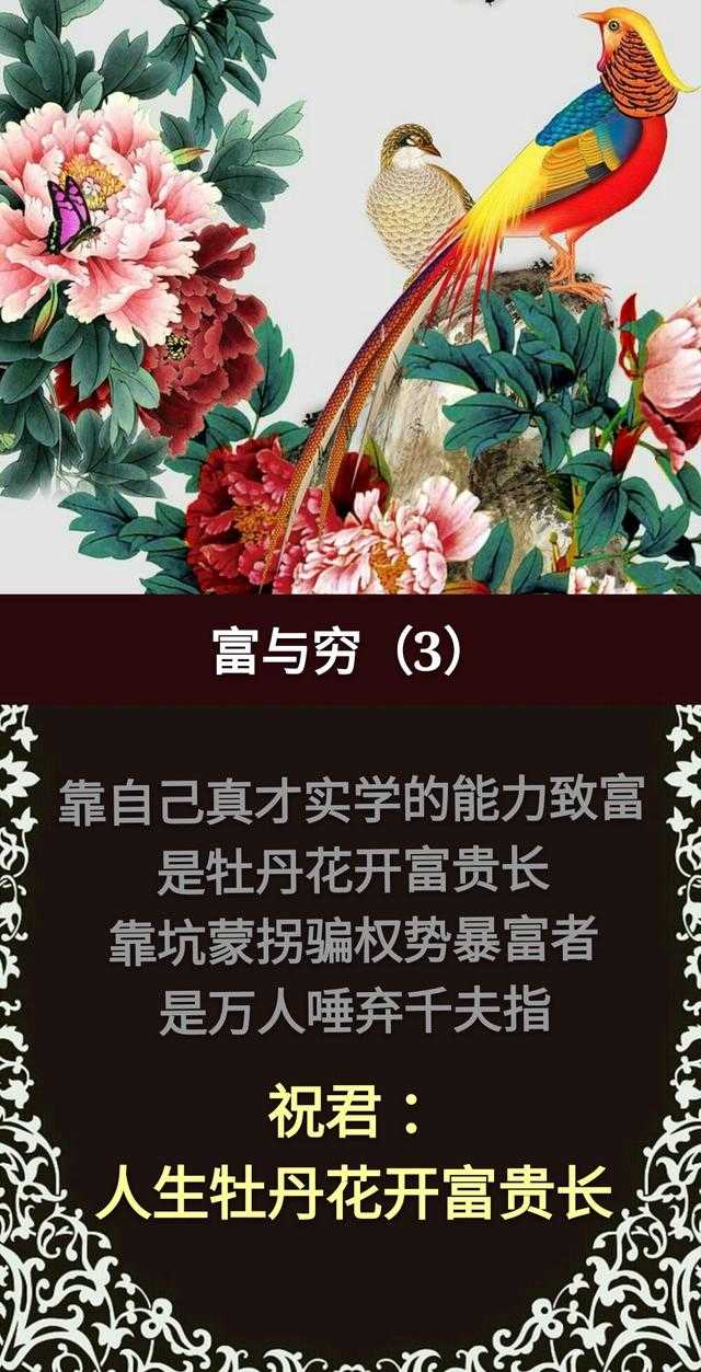 人生：苦与乐，真与假，成与败，得与失，富与穷