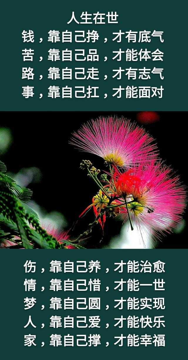 钱，没人给，靠自己挣才有底气；苦，没人慰，靠自己尝才能体会