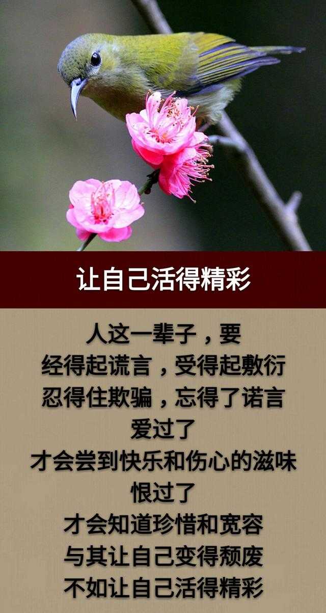 人与人，好起来时可以同穿一条裤子，闹翻后老死不相往来！