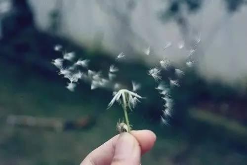 突然间懂了!(好经典)