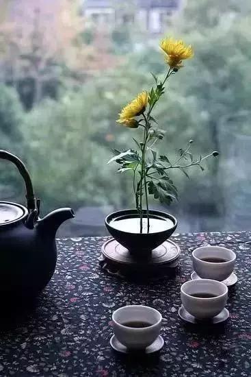 别太在意，人走茶凉，物是人非