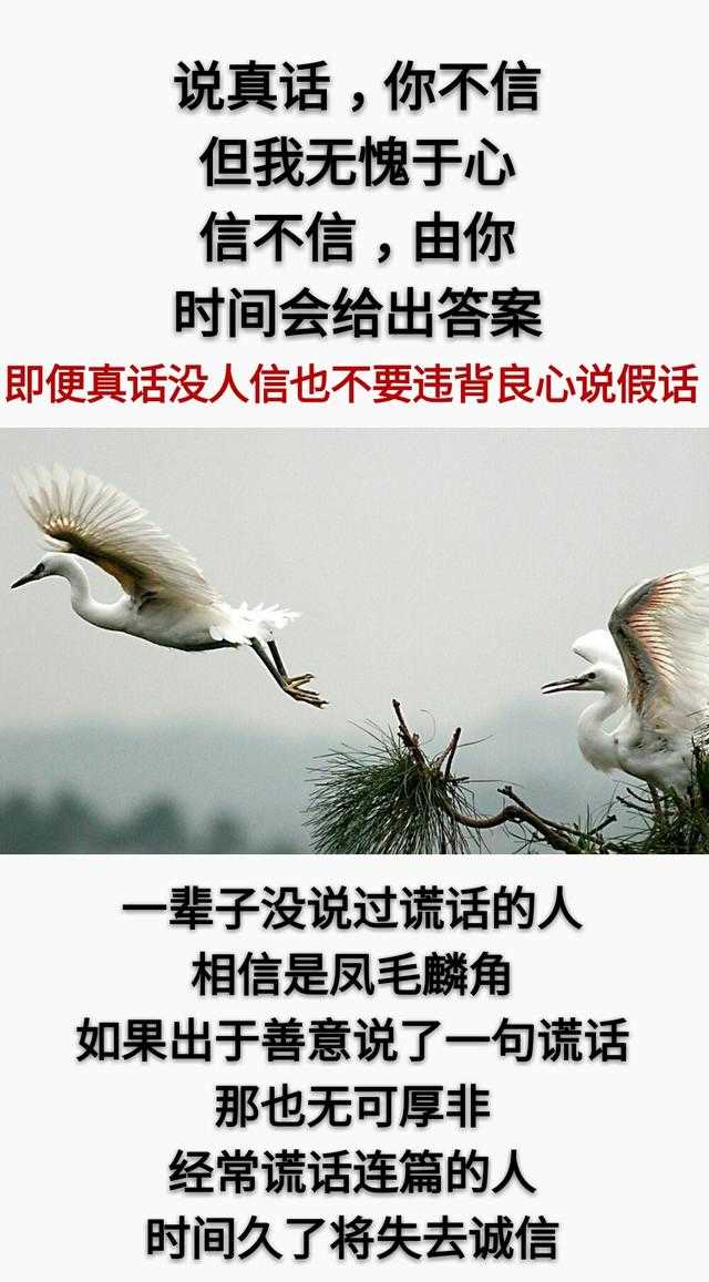 真话，不信；假话，当真！这就是人性「现实」