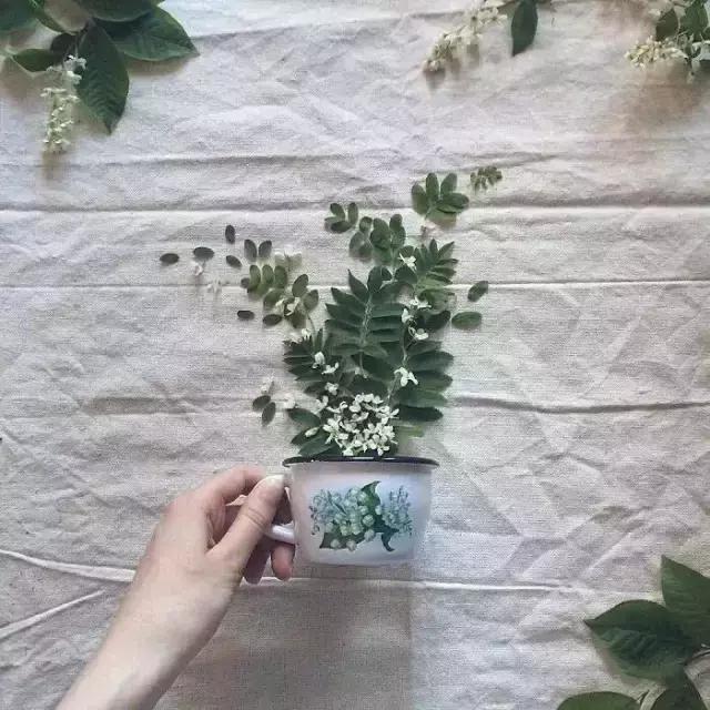 禅意：握清欢在手，掬淡泊于心！