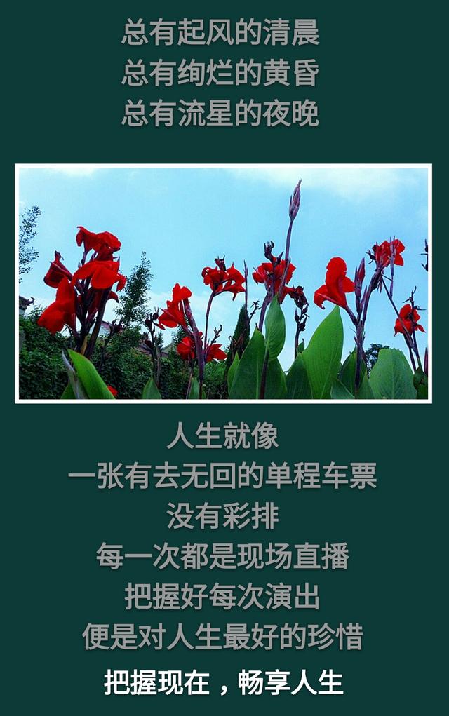 眼再眯，也能看晨起暮落；鼻再塌，也能嗅四季花香（活着真好）