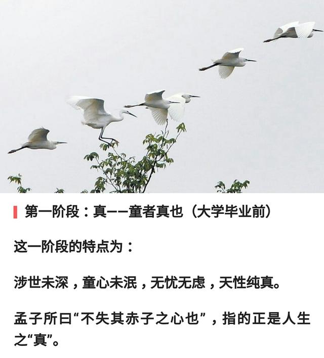 人生的四个阶段：一真，二执，三顺，四空「真准」