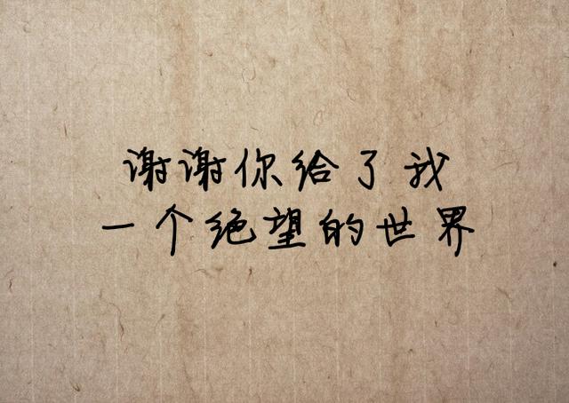 想对伤害过自己的人说什么？