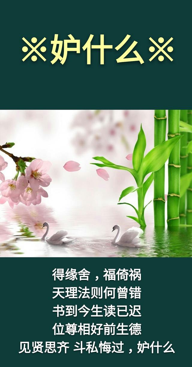 一生，急什么、怕什么、算什么、妒什么、悔什么、疑什么？