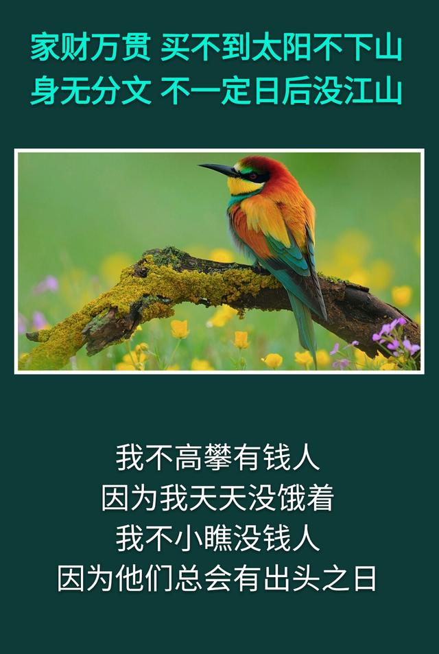 别小瞧没钱人，别高攀有钱人，再穷也别去乞求人！「写得真够很」