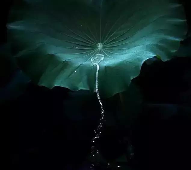如果你已到中年