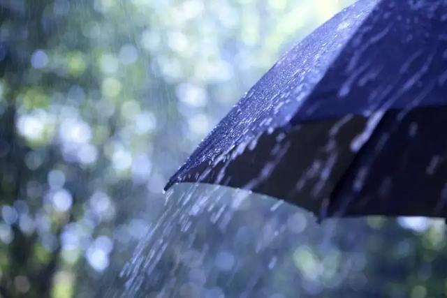 一把小花伞一双小雨鞋