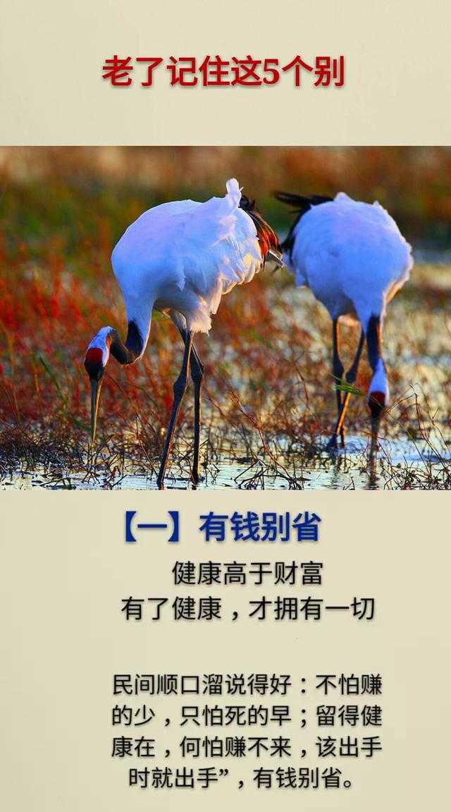 今日等明日，今年盼明年，日过日年过年，人生还有几日经得起等？