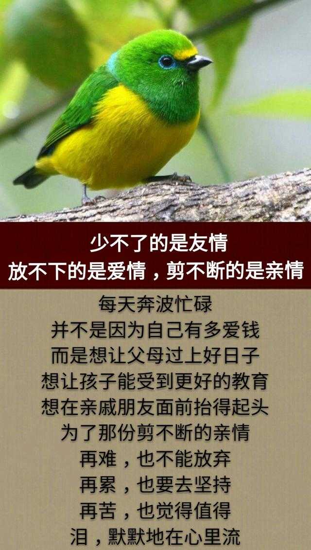 这一生，为钱而拼，累累累；这一世，为情而活，苦苦苦