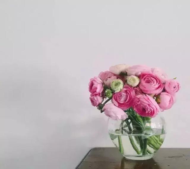 人品好的人，自带光芒（深度好文）