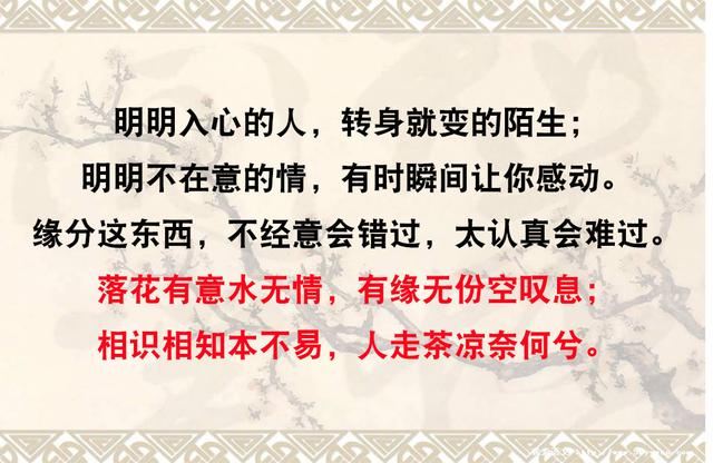 真感情，真朋友「很值得收藏」