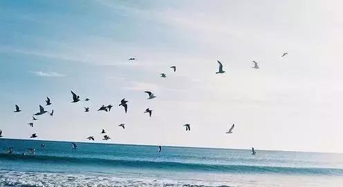生活，多一些笑容